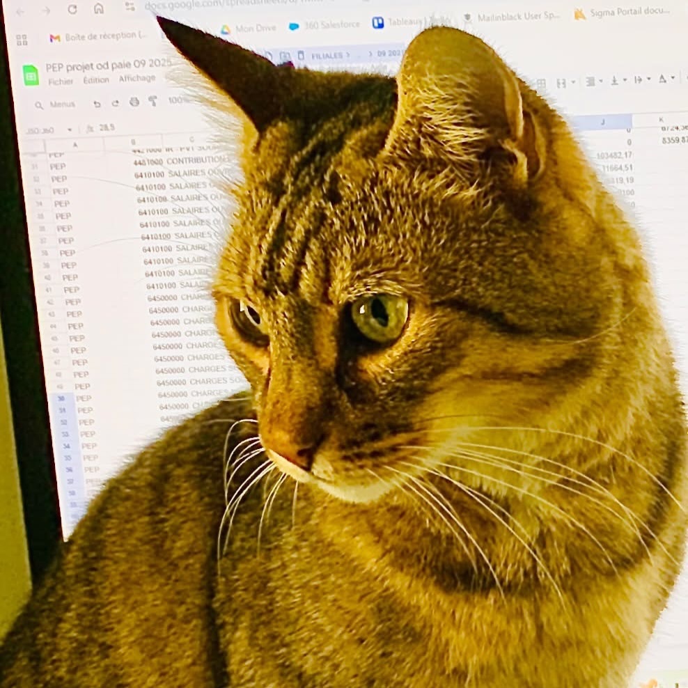 VigiPets.fr tweet media
