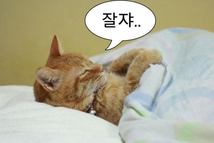 태성장🫰 tweet media