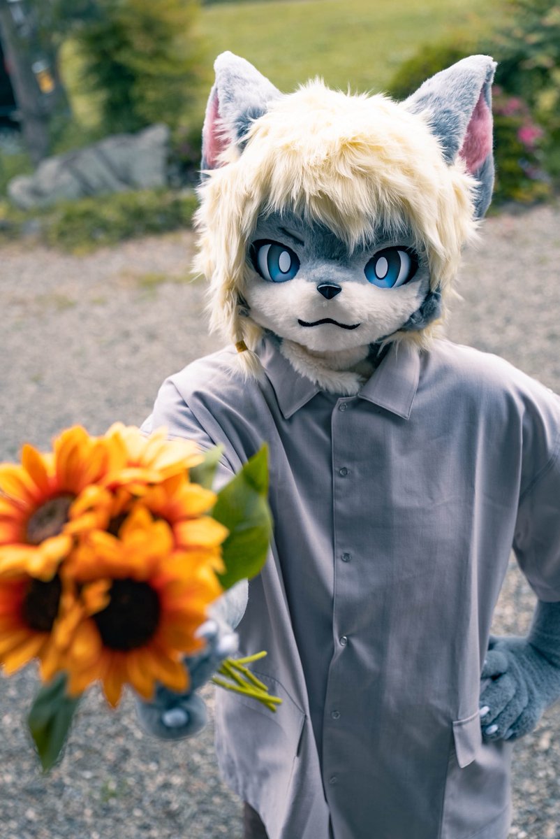 raizinnDX's tweet photo. 「君にあげるよ。」

#かしわぎ撮影会 #FursuitFriday https://t.co/BcjhIE0Pze