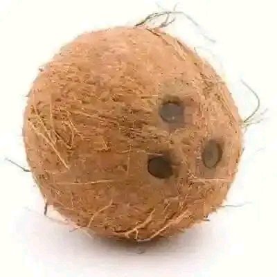 fidipote98RKT's tweet photo. FOR LOVE ATTRACTION.
Very  active. It works like magic!
Get scents leave any number, and squeeze it with  coconut water. Then add six flowers of oil to it.
Be rubbing it on your body before you stepped out! https://t.co/goJqxjT4qL