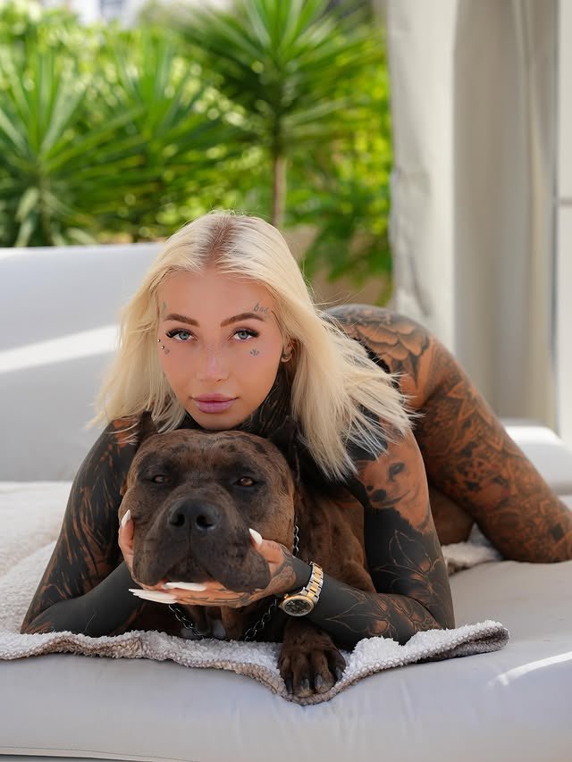 LumiSpeed 🍓💎🧨🦁 tweet media