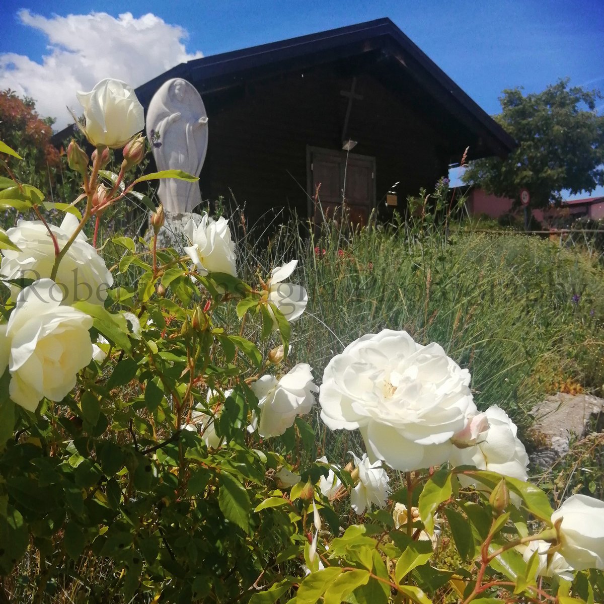 rocaphotography's tweet photo. Parrocchia Santi Stefano e Silvestro.
Castelnuovo di San Pio delle Camere.
Abruzzo ~ Italy.
#castelnuovo #sanpiodellecamere #Abruzzo #italy #Italia #fotografia #nature #rose #roses #photography #photooftheday #picoftheday #italianphotography #robertocastigliaphotography https://t.co/Bnn98YyHlG