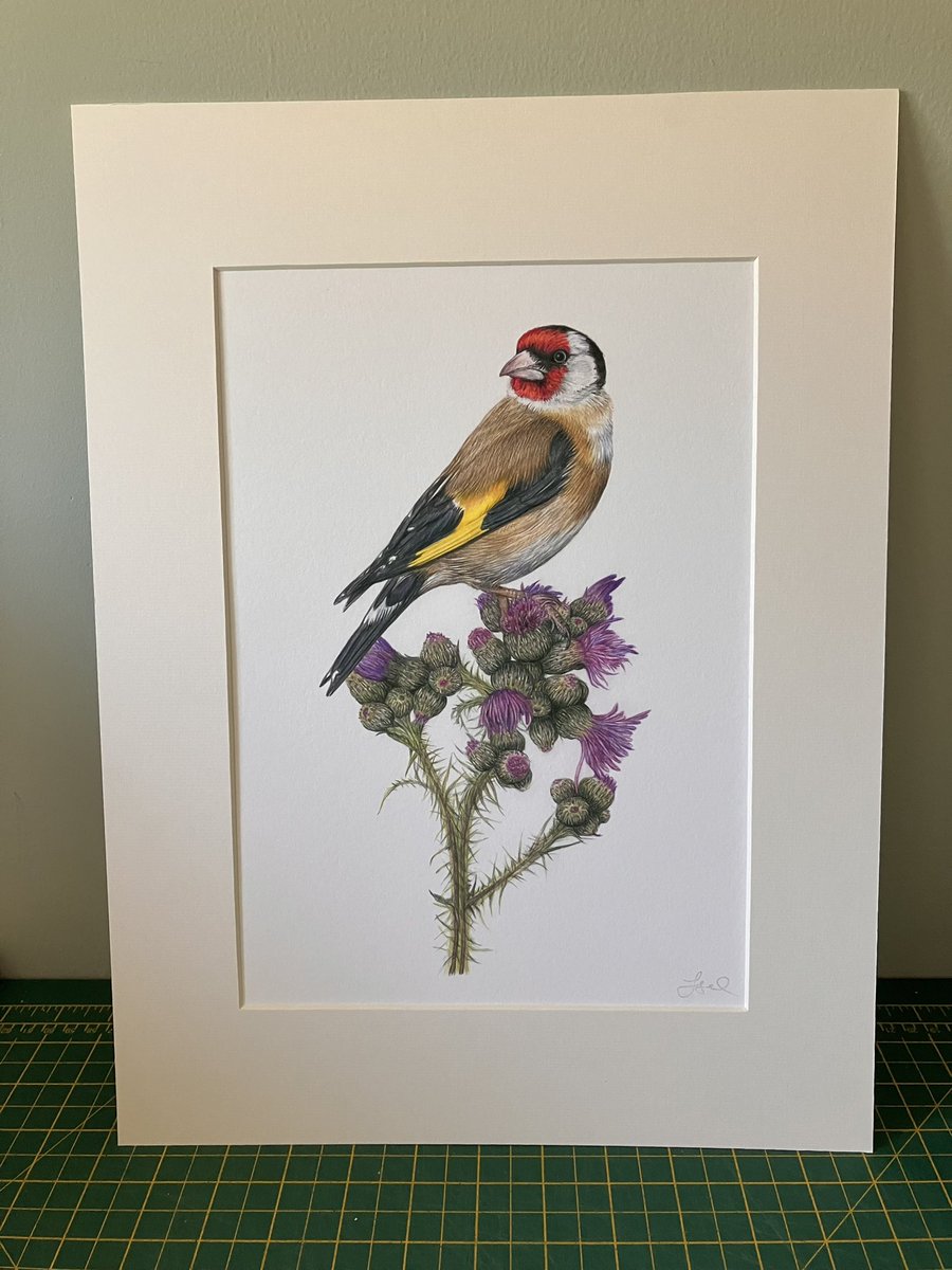 studio22artz's tweet photo. I mounted up these giclee prints today to take into town to add to the gallery wall soon. Not feeling very motivated to rush though as sales have been so slow there for months and months now. Not like what it once was. It’s all so futile. #art #drawing #wildlife https://t.co/3Ic8mOTigz