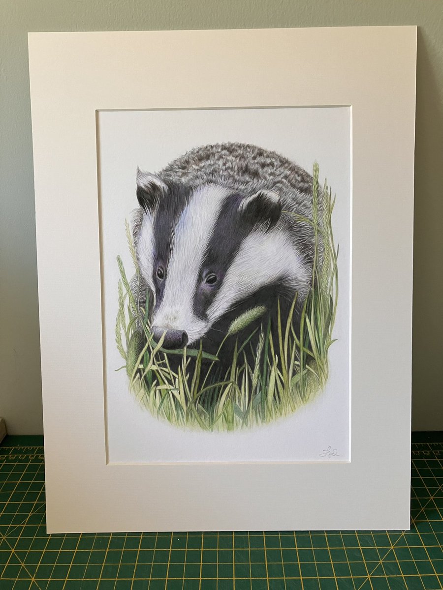 studio22artz's tweet photo. I mounted up these giclee prints today to take into town to add to the gallery wall soon. Not feeling very motivated to rush though as sales have been so slow there for months and months now. Not like what it once was. It’s all so futile. #art #drawing #wildlife https://t.co/3Ic8mOTigz