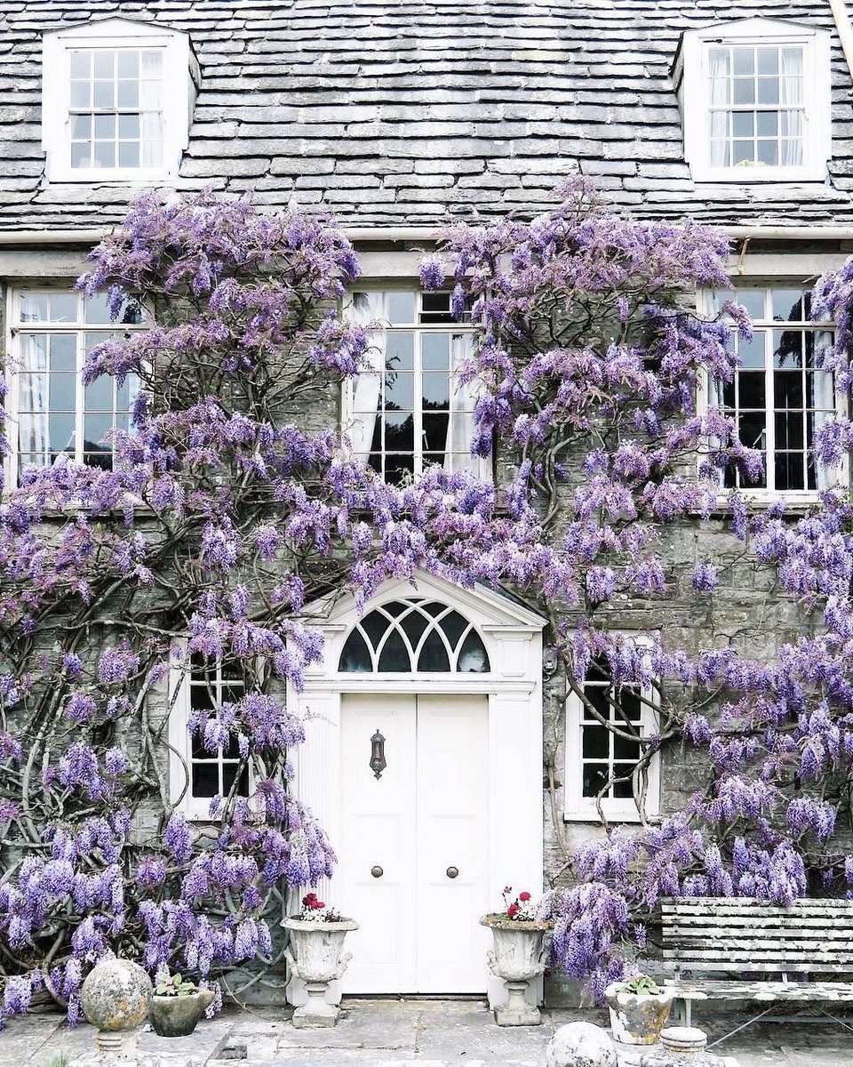 Natursee's tweet photo. London in purple 💜 https://t.co/teOmIMaXHq