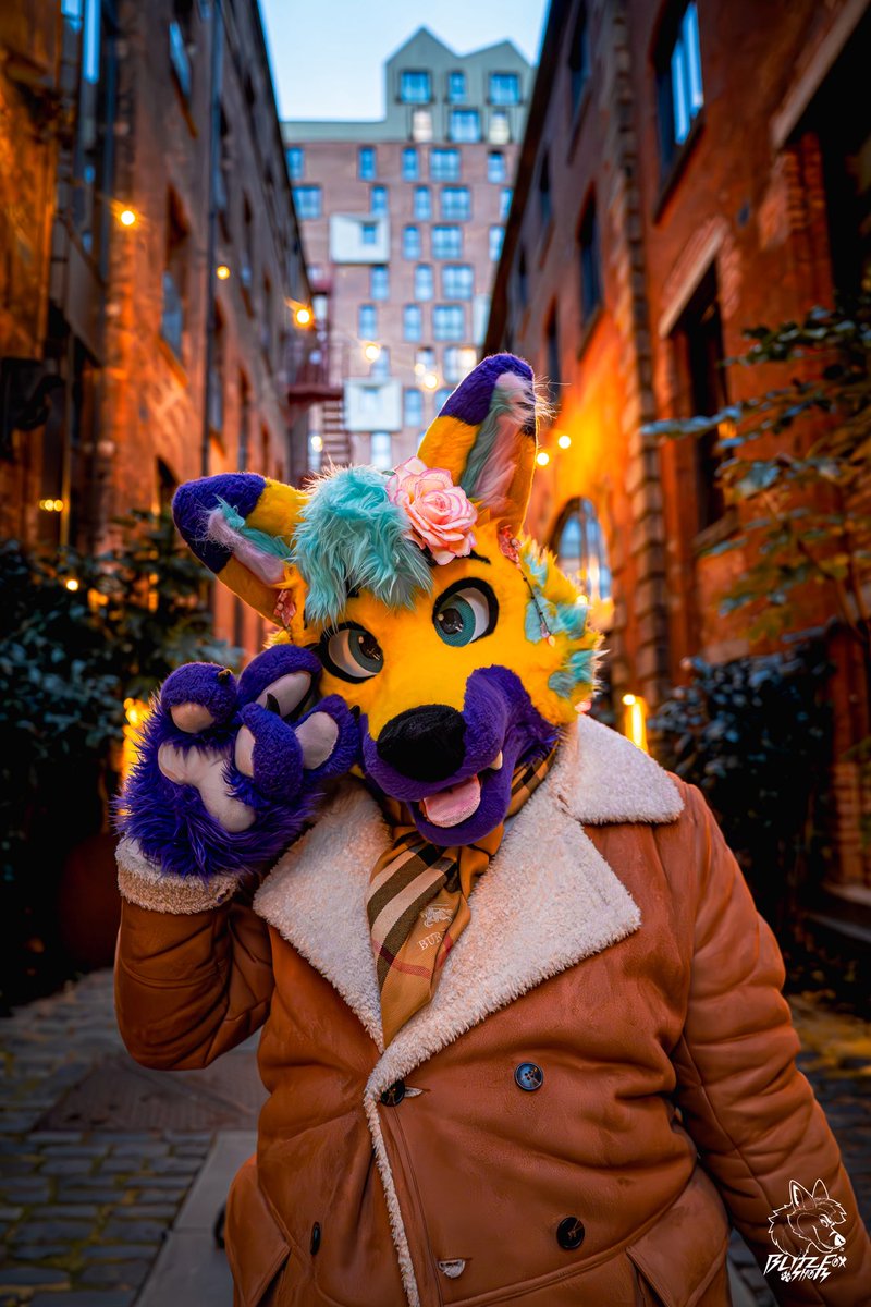 BlazenTigerFolf's tweet photo. Happy #FursuitFriday to all 💜💛
It’s been a couple of days since CFz and I think I’ve only just caught up on sleep fully! 😅 But like, the exhaustion was 100% worth it as I had the best time ever 🤣

📸: @Blitz__Fox 
🪡: HouseOfCardsFur https://t.co/8XJD7uyc3N