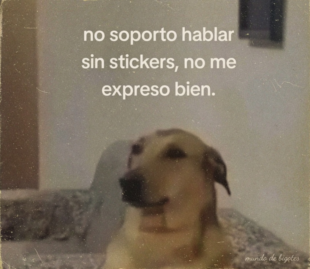 MundoDeBigotes's tweet photo. https://t.co/w5padMrZzt
