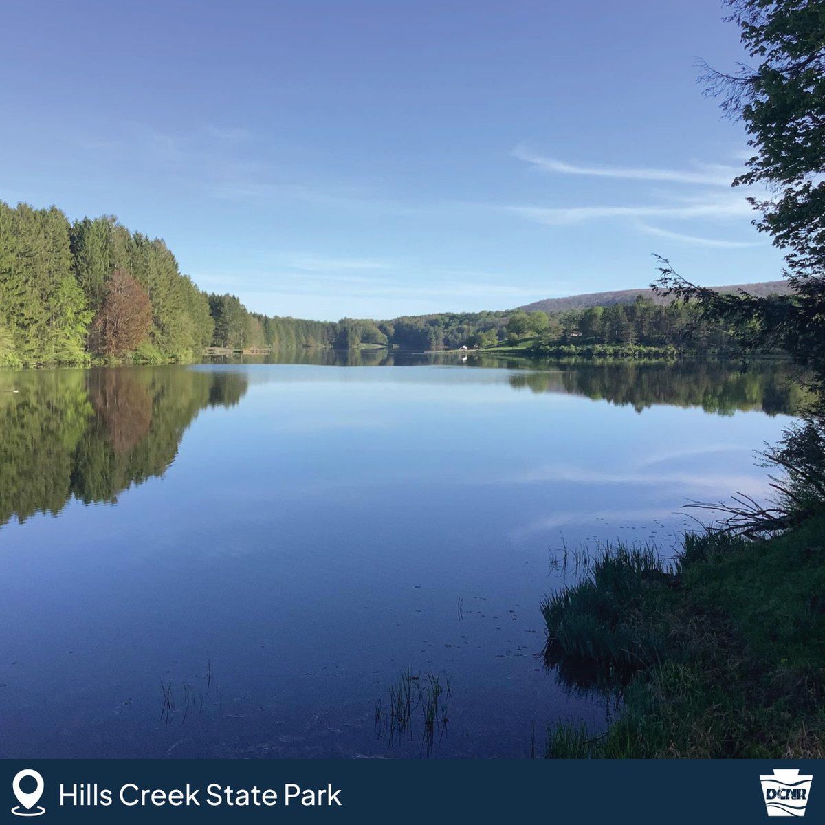 PA Department of Conservation & Natural Resources tweet media