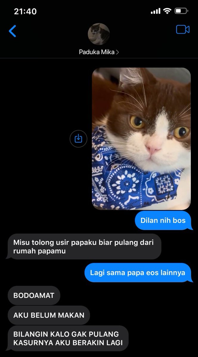 Ruby tweet media
