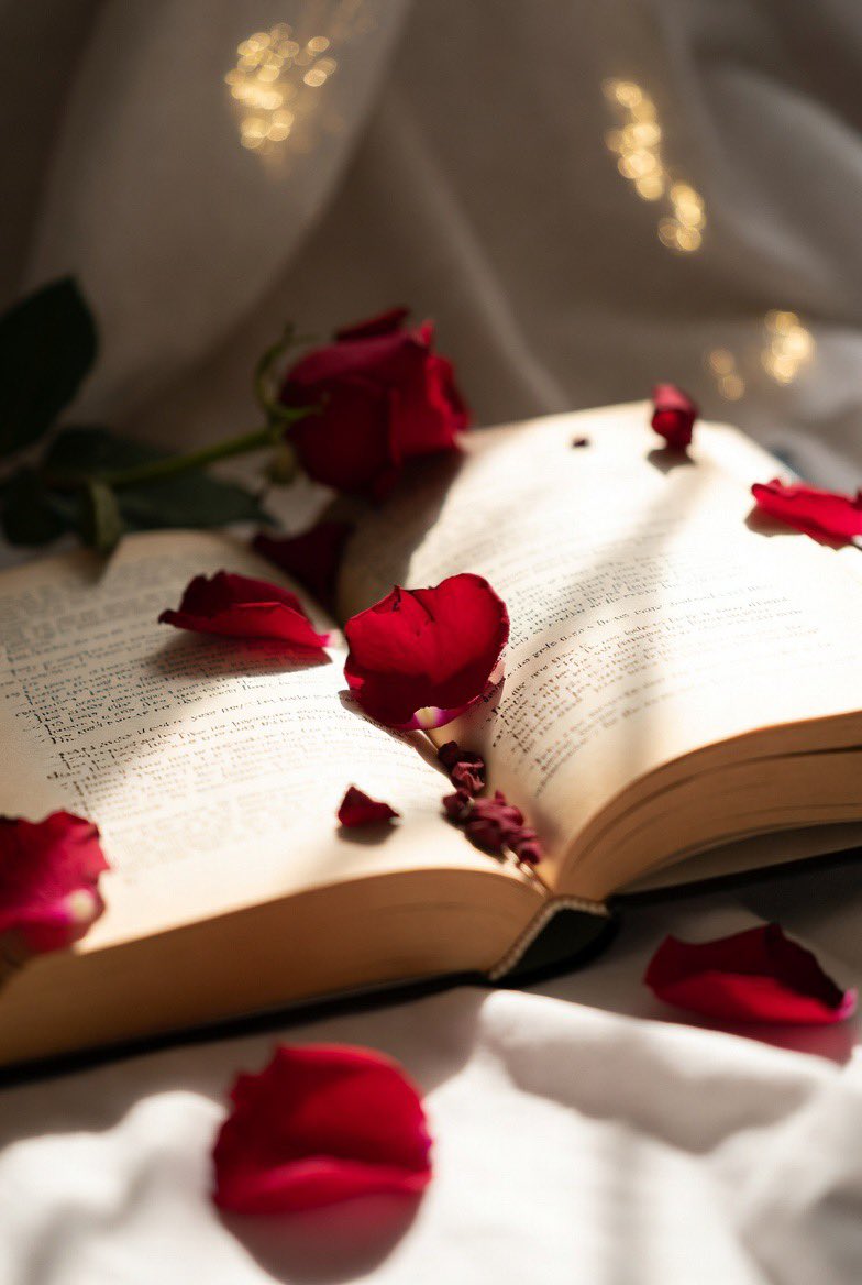 JoanneScottAtoZ's tweet photo. #vss365
#haiku

Vibrant red petals 
Faint whispers  between pages 
Scent of dusty rose https://t.co/DmisjwxO99