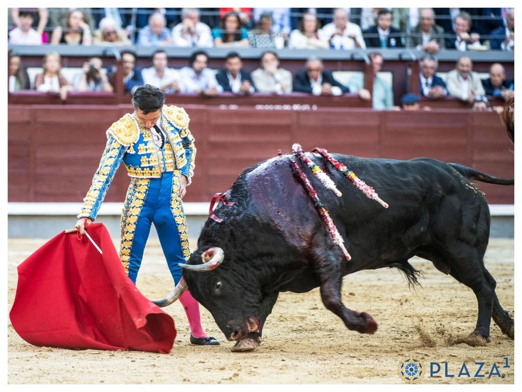 miguelmipereza's tweet photo. Fiel a un concepto inquebrantable dentro y fuera del ruedo que te ha traído una carrera llena de sinsabores. Años de lucha, independencia e incomprensión.
Pero ayer demostraste que la verdadera pureza solo conoce un camino: ese que llevas pisando con el alma toda tu vida.
Gracias https://t.co/PoyZNwKEYm