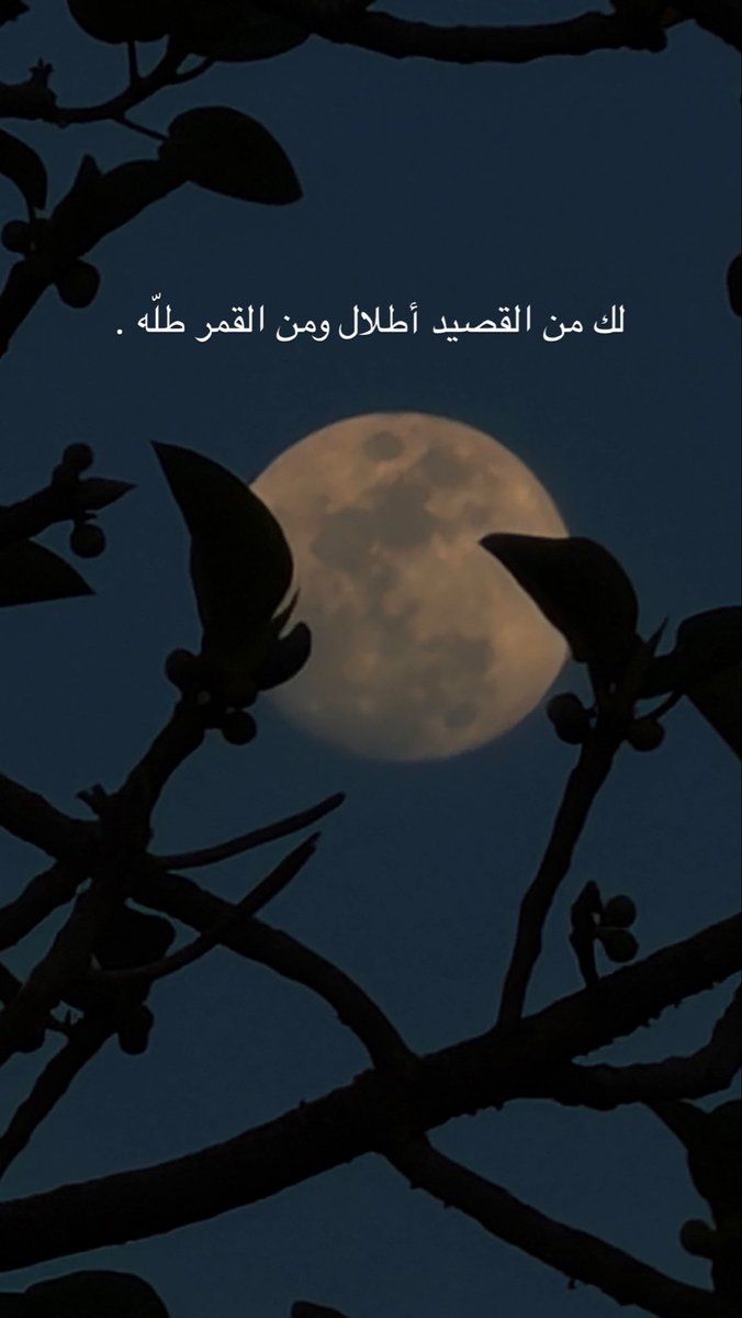 darbat22's tweet photo. لك من القصيد أطلال ومن القمر طلّه .

#ظفار_الغالية❤️🐎 https://t.co/ihhBIKh9qE