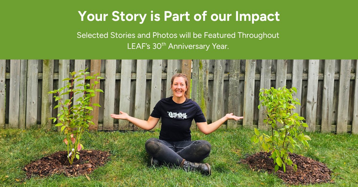 leaf's tweet photo. For 30 years, LEAF has grown alongside our community. Now we want to hear your story.

Share a photo + short story about planting with LEAF, volunteering, or joining one of our programs for a chance to win a $100 gift card. https://t.co/M3C1AaUhwm