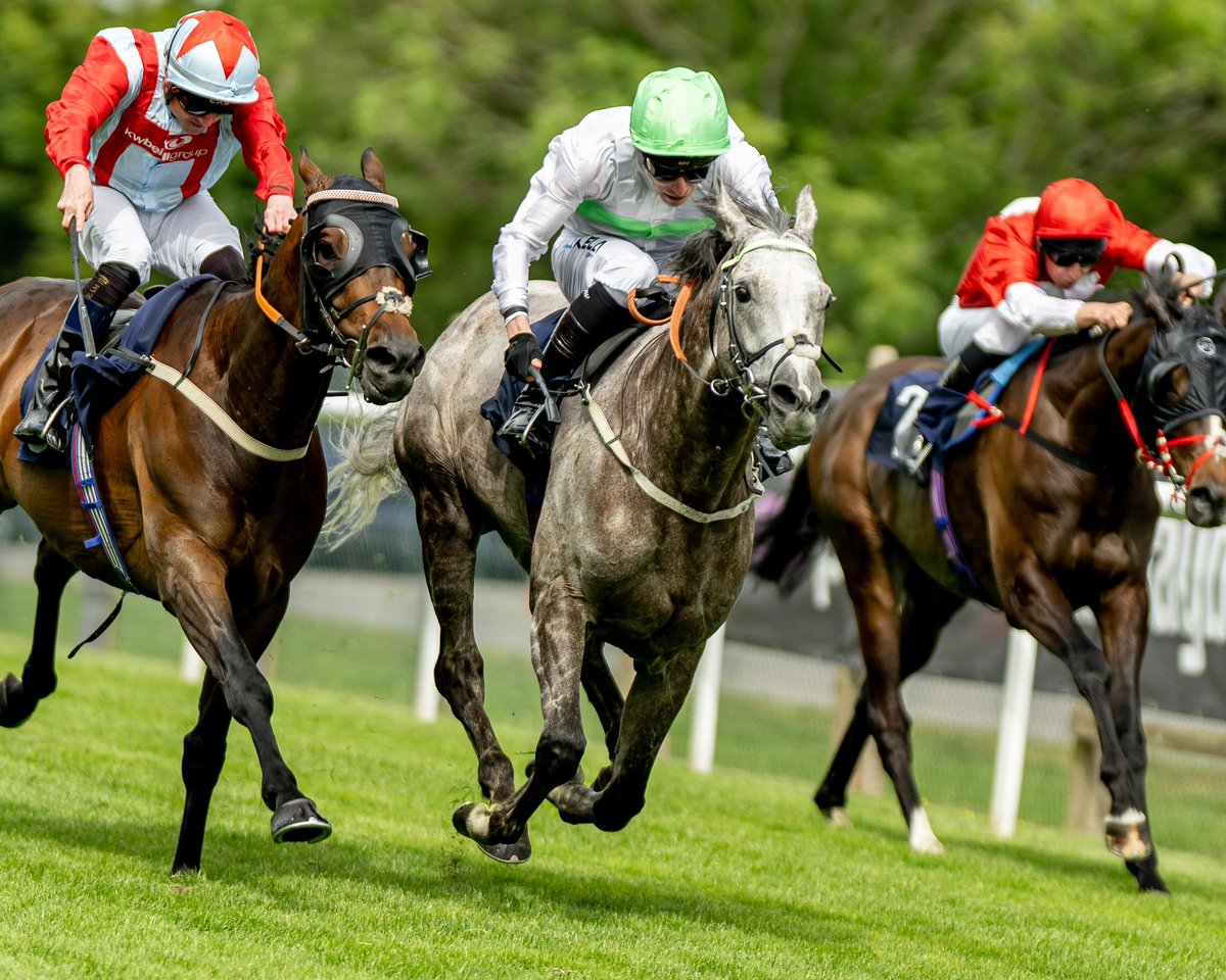 Brighton Racecourse tweet media
