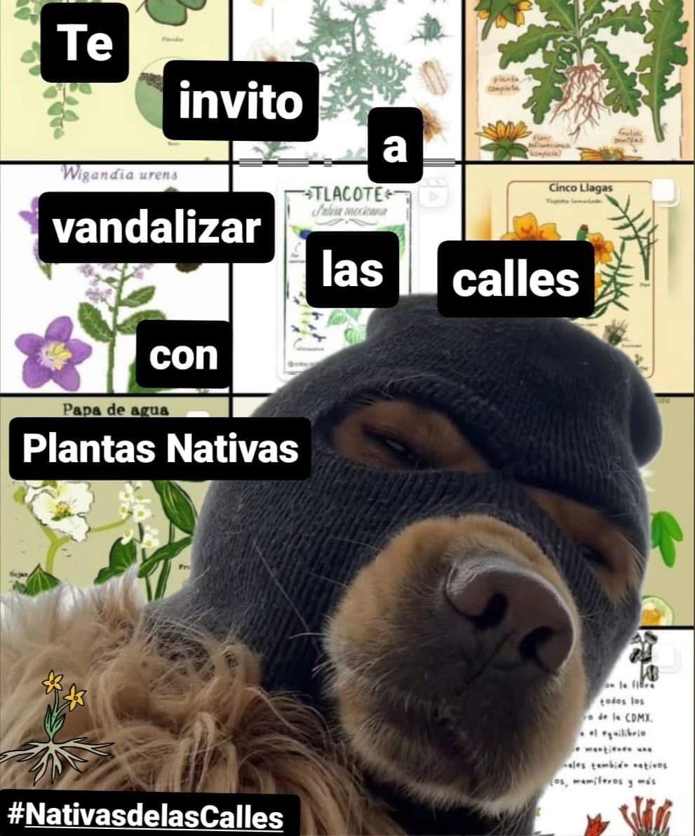 La Fá★ tweet media