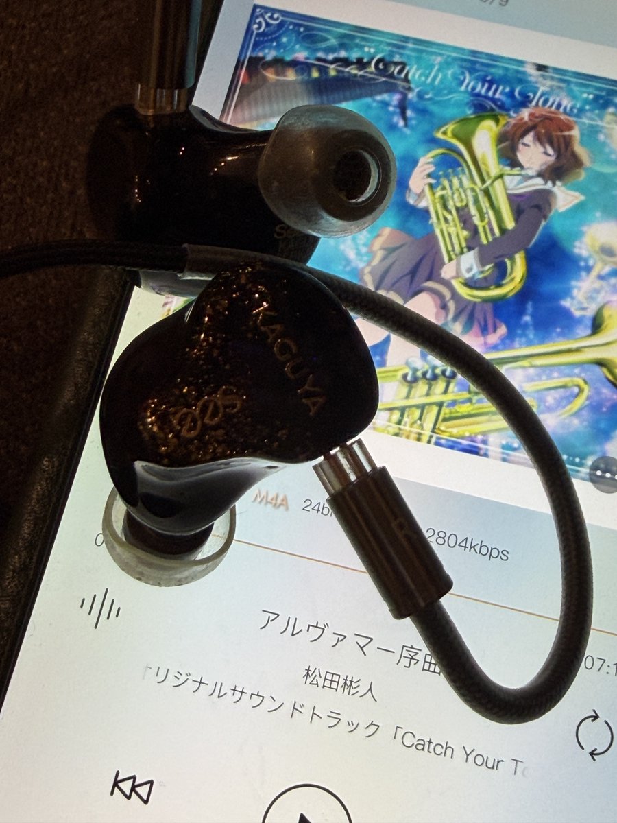 KagiyamaShacho's tweet photo. KAGUYA2を買ってからというもの
音楽を聴くのが更に楽しくて仕方ない

#KAGUYA2 #Seeaudio https://t.co/h1HplKgX56