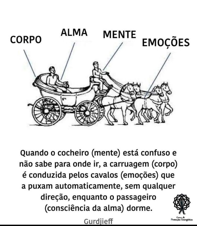 Thefishermanm's tweet photo. Salva isso. https://t.co/b10Xk28k6n