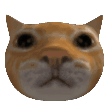 RickyFromEarth tweet media