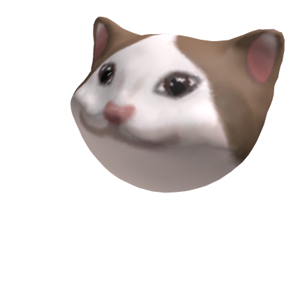 RickyFromEarth tweet media
