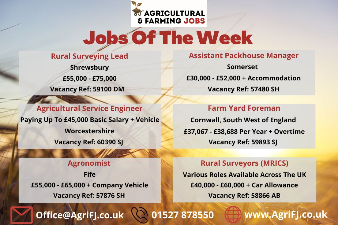 Agriculturaljob's tweet photo. Jobs Of The Week! 🌟

If you would like to find out further information on these job roles and to apply, please visit our website; https://t.co/FogcMc4Y4s 

#agrifj #agriculturalandfarmingjobs #jobsoftheweek #jobopportunities #applynow #getintouch #recruitment https://t.co/GxPGNT4HSc