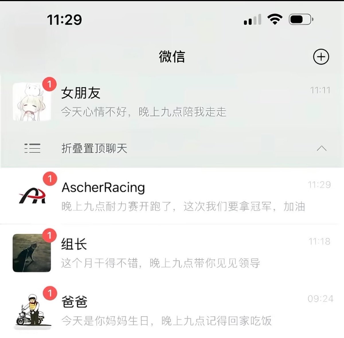 动物园园长 tweet media