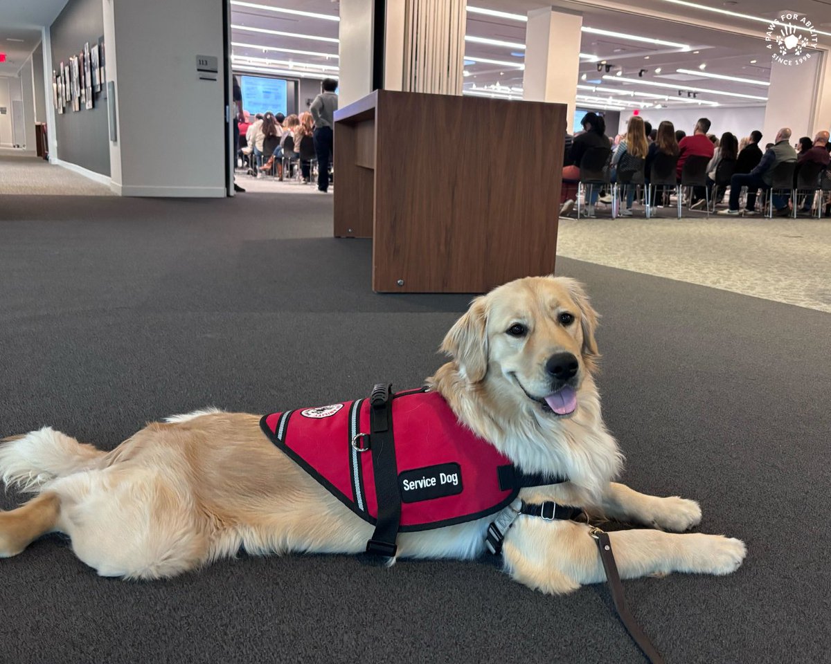 4PawsForAbility's tweet photo. Service dog Adak and 4 Paws Executive Director Jennifer Lutes recently joined the staff at JPMorganChase. While the pair was there, they accepted an incredible $25,000 donation from their Giving Tuesday State Challenge.

Thank you, JPMorganChase! https://t.co/ApgVvaZntt