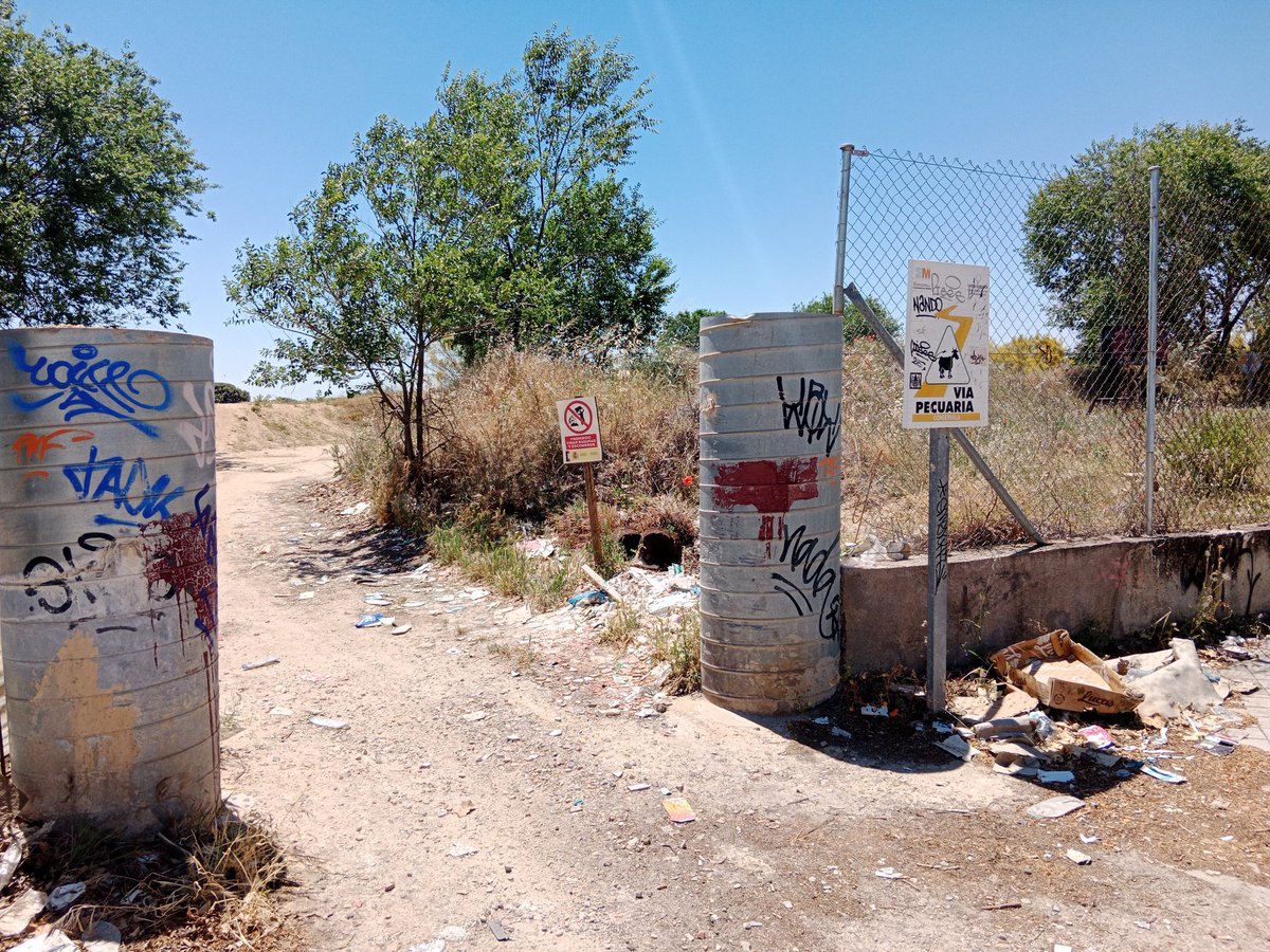 CorredorEcoSur's tweet photo. @AlcorconEco Entre el material de derribo que la máquina tritura y entierra hemos detectado planchas de amianto, tuberías de plomo, plástico y vidrio. Todos materiales contaminantes y algunos extremadamente peligrosos que pueden contaminar el suelo #Alcorcón https://t.co/oX6RWw02CK
