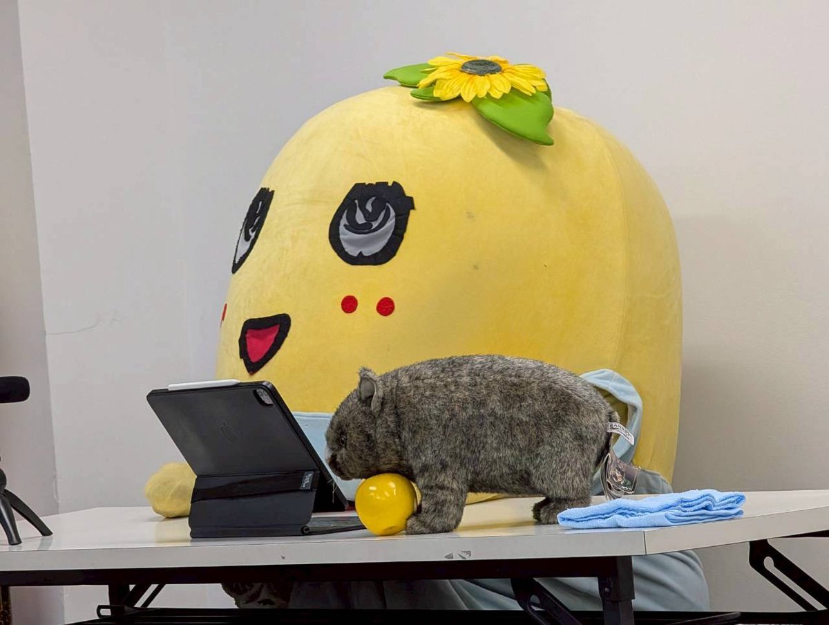 ふなっしー💙 (@funassyi) / Posts / X