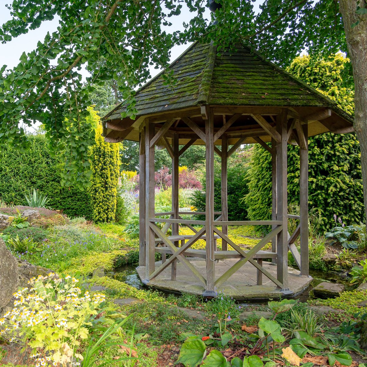 flowerpowerfair's tweet photo. Just over 2 weeks to go until the #SpecialistPlantFair at Ness Hall, Nunnington, nr Helmsley in #Yorkshire on Sun 14th Jun. Stunning gardens not often open to the public. Open 11-4pm. (Last entry 3.30pm.) Details at
https://t.co/DgdyQ8ASat https://t.co/dEKofA2rAo