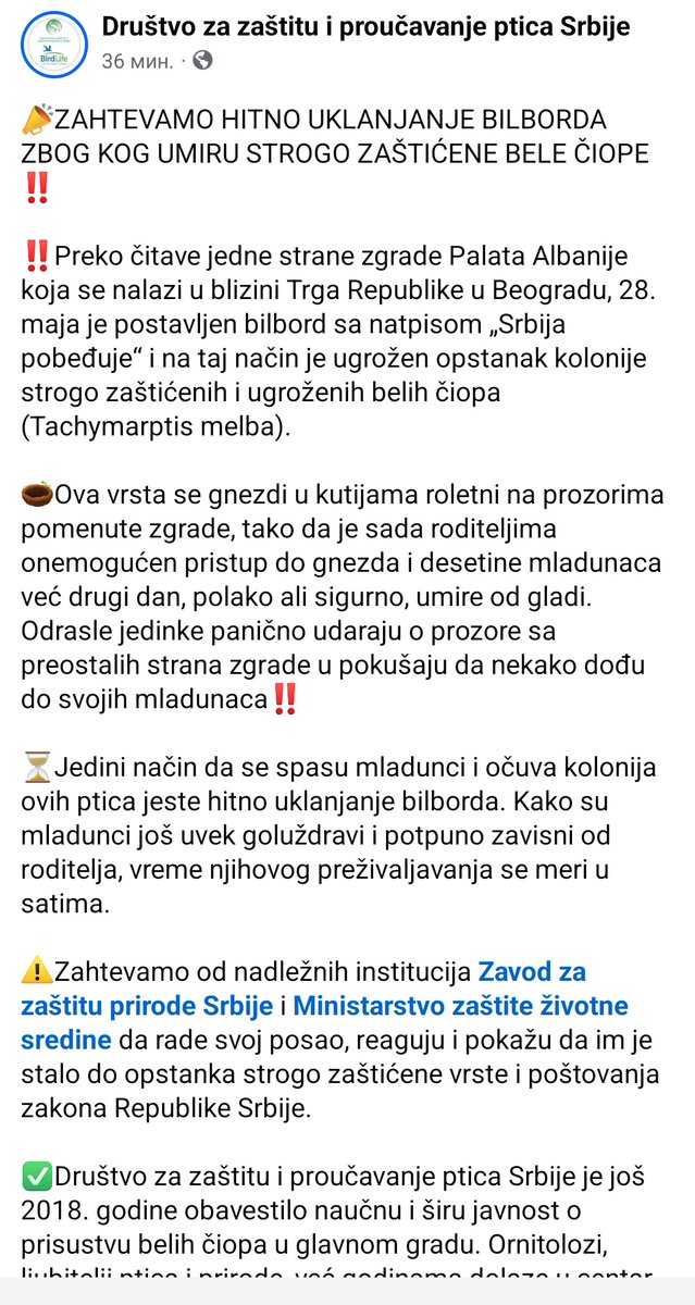 dzgb tweet media