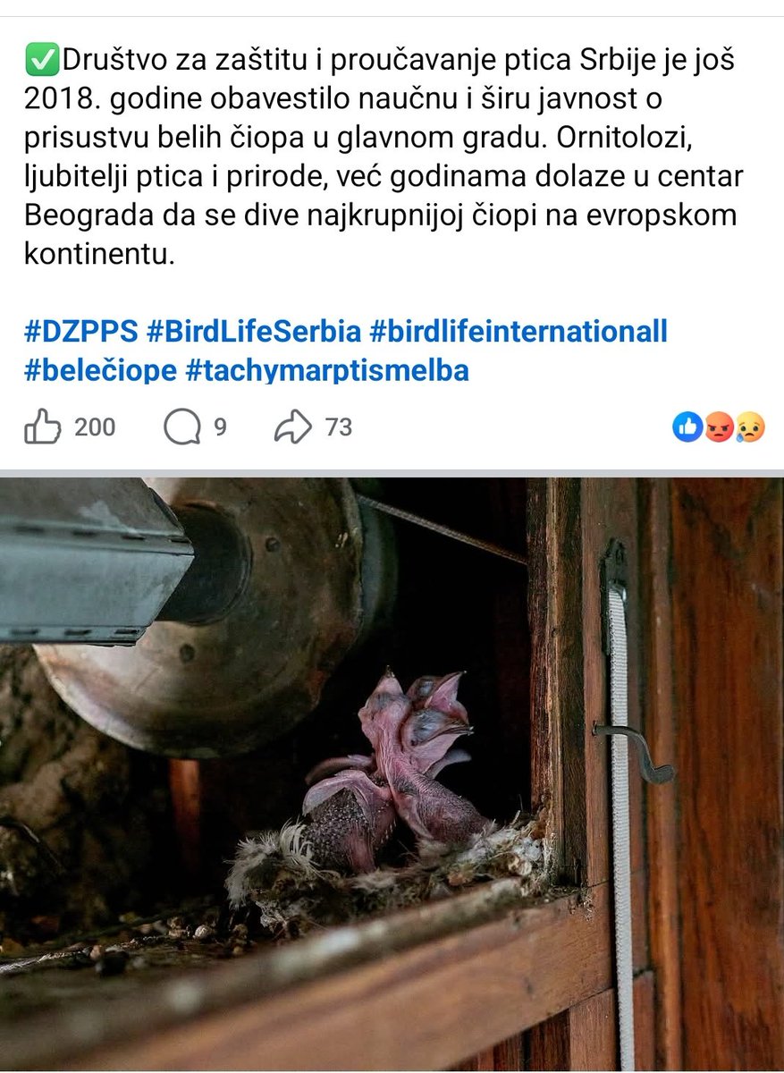 dzgb tweet media