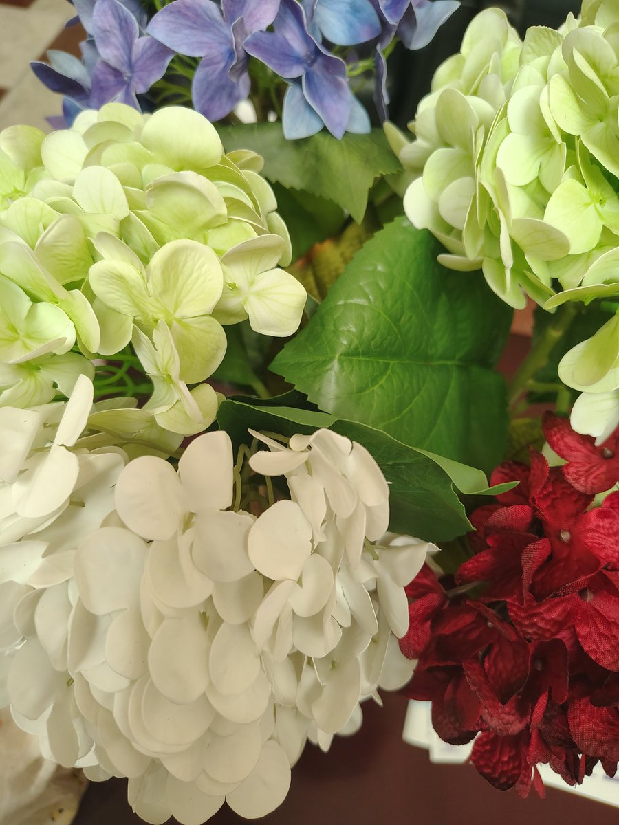 Halka21153162's tweet photo. Hey 👋☺️ 💐🩵X 🤍🕊️🌎🌍🧡🤓✍️ Thanks 😎🙏💐 Nature💚🌲🌄The Best 🎨🖌️ 💯🩷Painter 🩵🫟Your 🌈💜Colorful 🌺❤️ Gorgeous 😍 Smiling 🌷🌸🏵️😍Flowers 💐 🌹 🌷🌺🌻🪻 are Gifts 🎁 🎁💞 for Us 💑🍀 https://t.co/2CzGkbsUAY