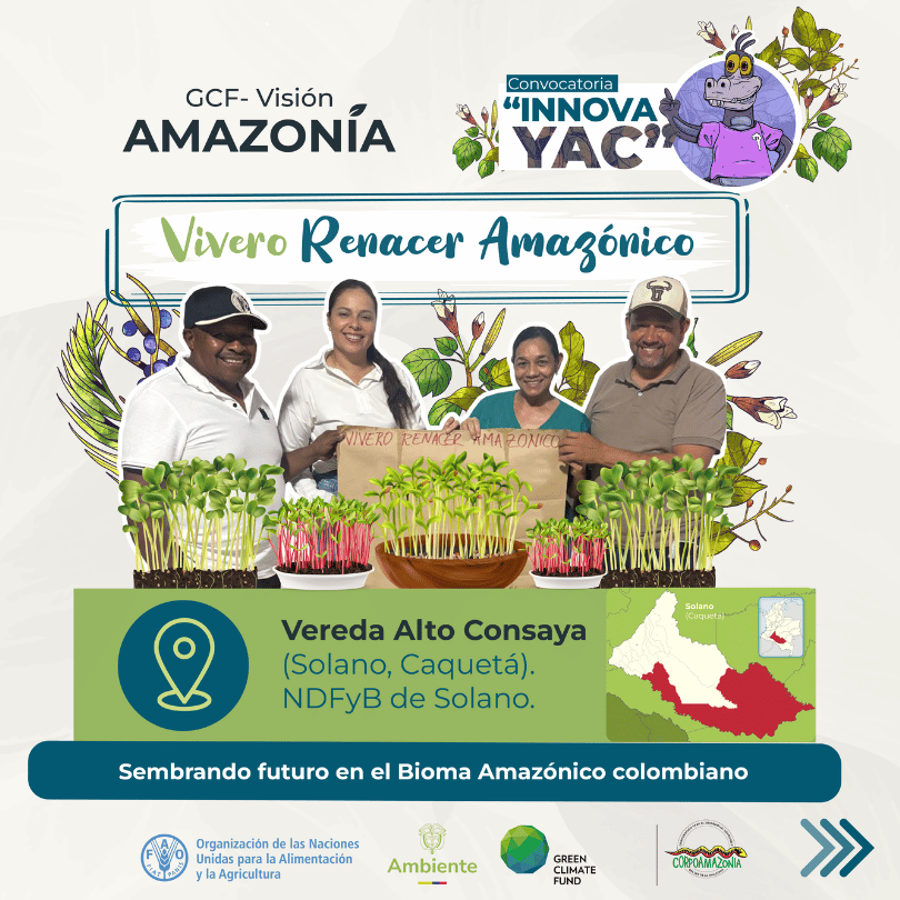 FAO_Colombia's tweet photo. El Vivero Renacer Amazónico es una de las iniciativas seleccionadas de la convocatoria #InnovaYAC del #GCFVisiónAmazonía
9️⃣personas,3 familias,le apuestan a la restauración de áreas degradadas en el NDFyB #Solano con plántulas de especies nativas🌱
➕info: https://t.co/Lvv9PIixkF https://t.co/rYApTSntQb