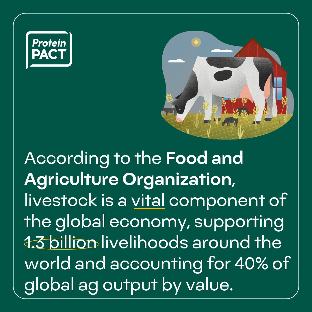 TheProteinPACT's tweet photo. Want to know more about why #MeatIsImportant? According to @FAO, livestock is a vital component of the global economy, supporting 1.3 billion livelihoods around the world and accounting for 40% of global ag output by value. #Yes2Meat #PrioritizeProtein

https://t.co/bNF8kgsYSw https://t.co/BMk2xtp3Fl
