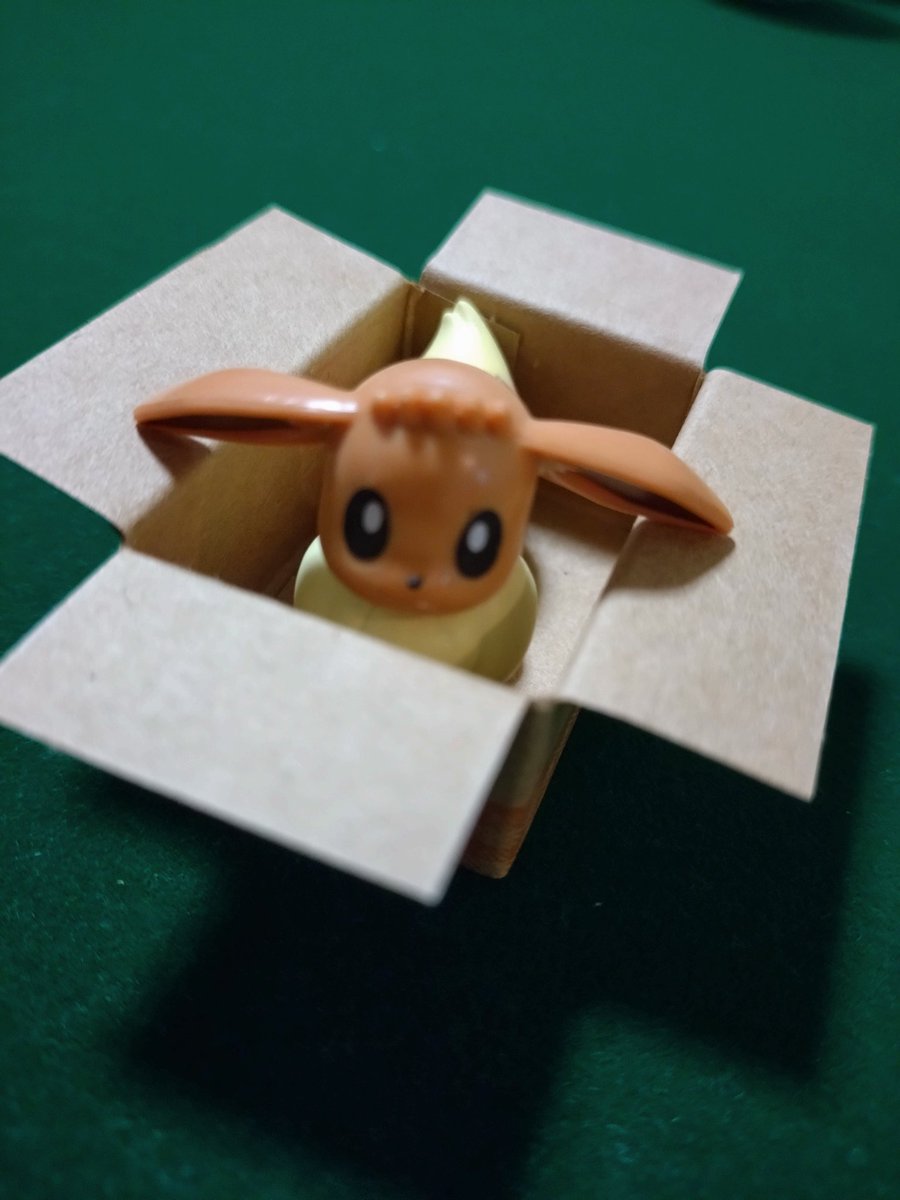 JunKpoke's tweet photo. イーブイ足の裏にはちゃんと肉球ありv https://t.co/ztpsJgffeL