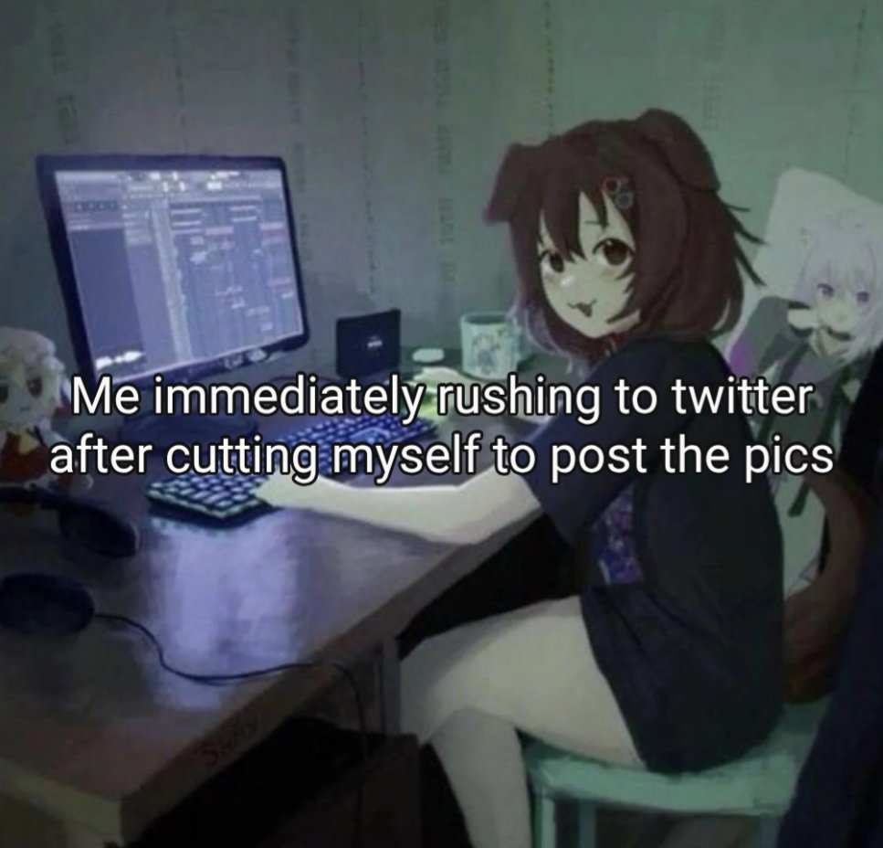 𝚁𝚒𝚋𝚋𝚒𝚝 𝚘𝚏 $𝚑𝚝𝚠𝚝 .ᐟ ᯓ★ tweet media