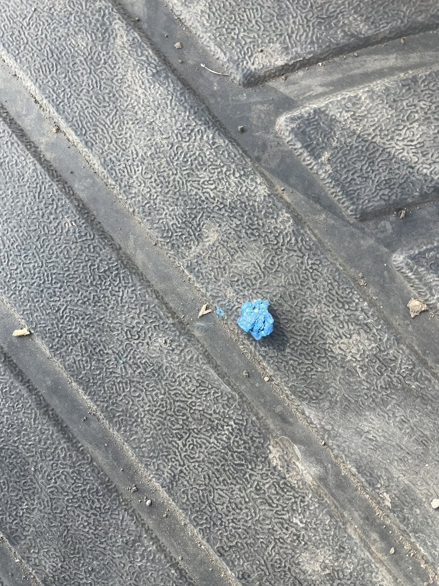 DavidSwanton3's tweet photo. Look what came in my bag of canola seed. Thanks to whoever invented blockage monitors. Had 120 acres before my next fill. Would have been a lot of 10’ strips. I also run all my fert through my side band which let the issue be noticed. https://t.co/YolQ2zACuB