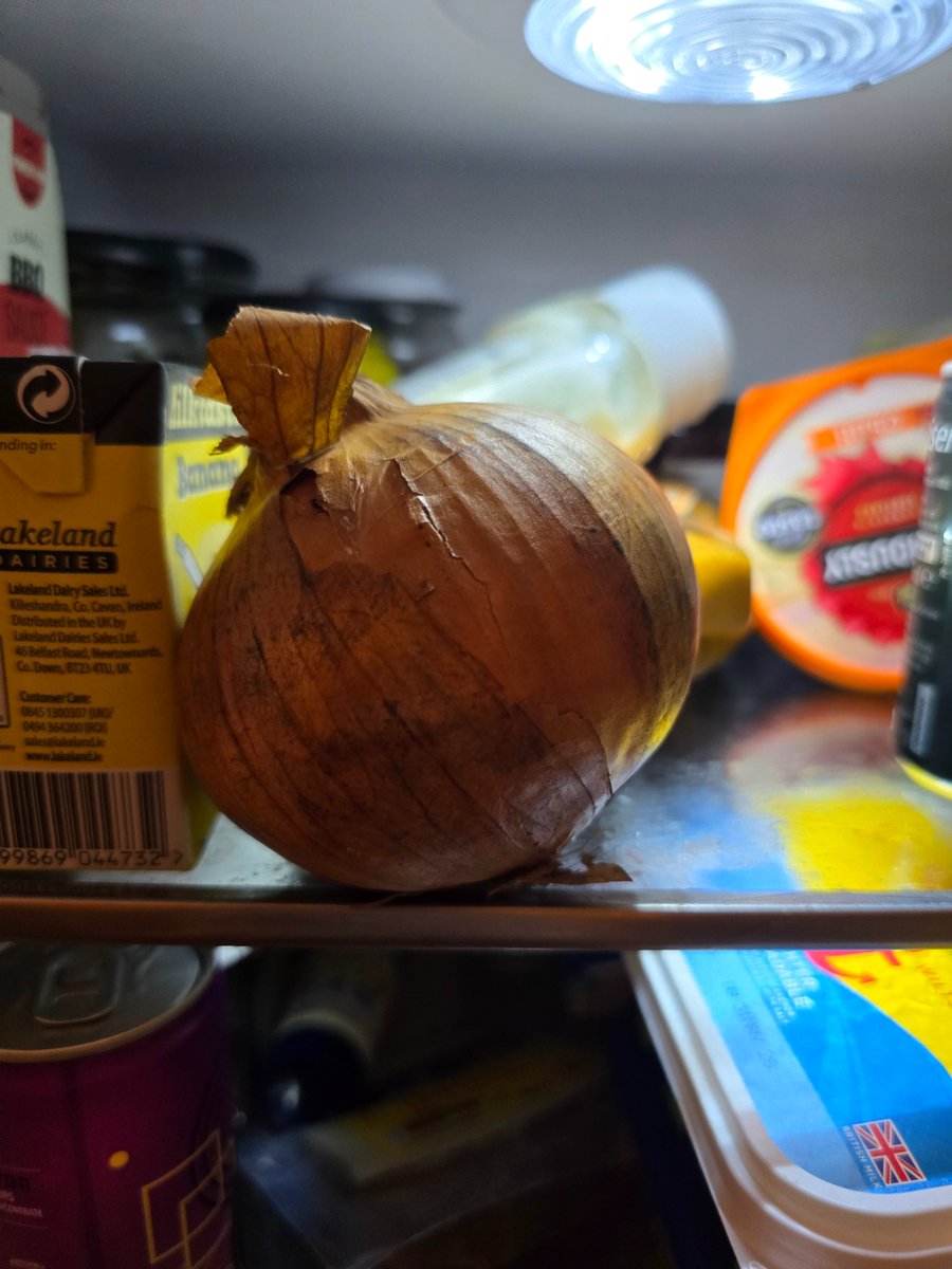 Ceborg1's tweet photo. @billy_wont @FucDems100 That's cool, look at this onion https://t.co/ZXdc7YsmHX