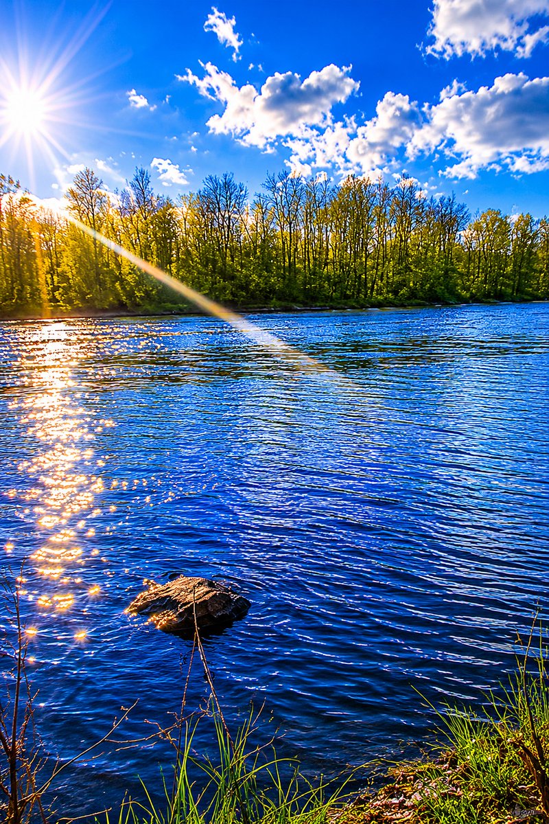 StickboyCoffee's tweet photo. TGIF! ☀️☕
The Stickboy Coffee is hot, the water’s calm, and the weekend is finally here.

Start your Friday with Stickboy Coffee.
🛒 https://t.co/cMMxiC3pOv https://t.co/mYZ7LEf7KH