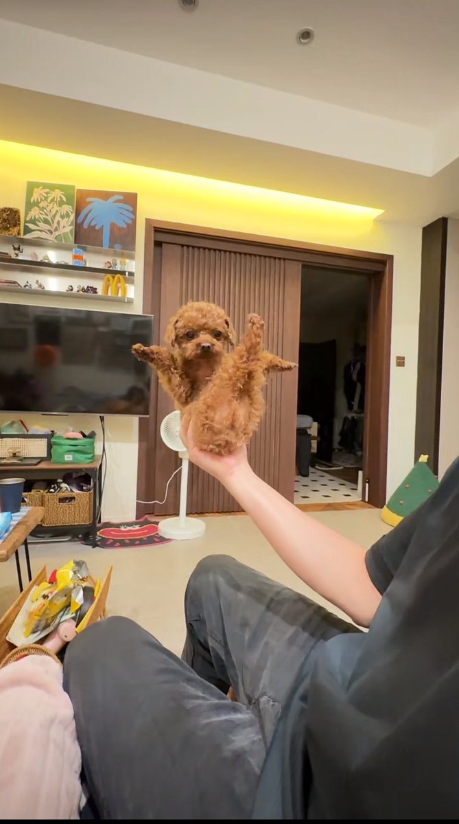 癒される動物 tweet media