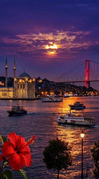 Yılmaz Taybuğa tweet media