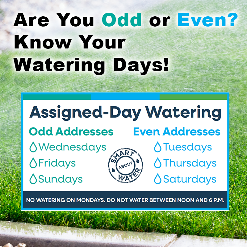 TMWA's tweet photo. Folks with ODD addresses, today is one of your three watering days. Please remember to be smart about your water use and only water on your assigned days. Please do not water between 12 am and 6 pm. It’s the right thing to do! https://t.co/k4Dt8oNaxx https://t.co/vFC3YOWsaJ