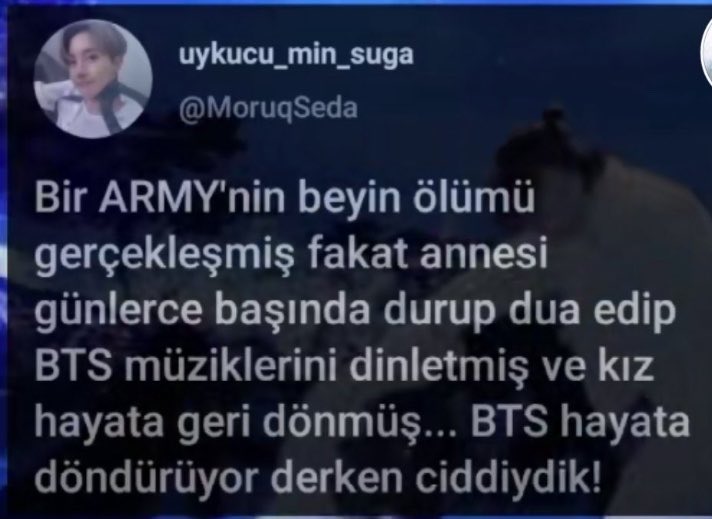 mel tweet media