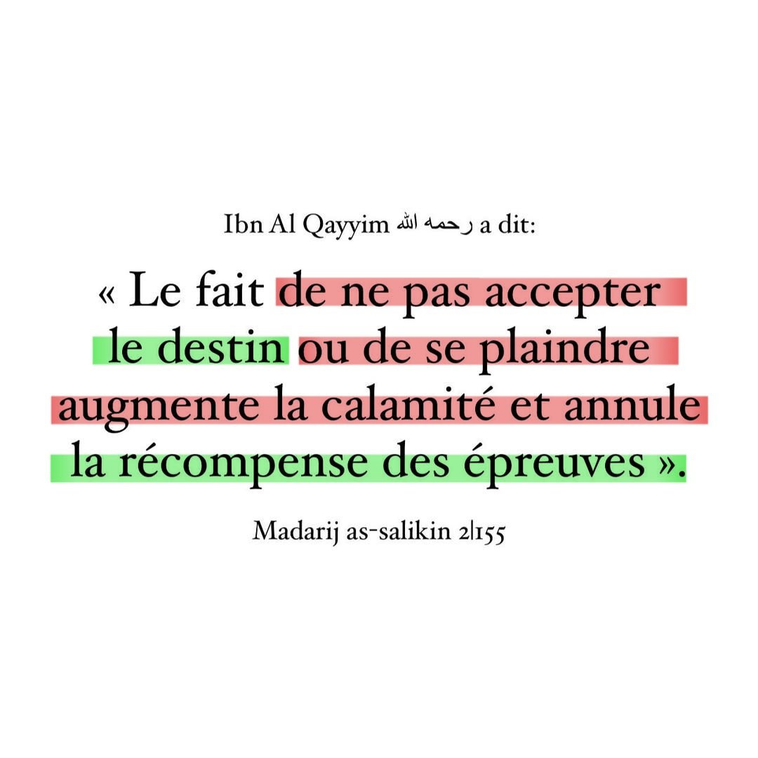 moussa_tawhid tweet media
