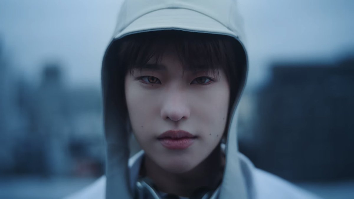 또야 tweet media