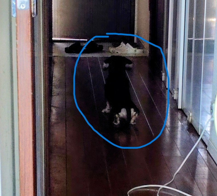 sugi306's tweet photo. 融資支援で一番大事なのは、そもそも土台に乗らない案件を最初に見抜いて対応すること。
徐々に聞いていくうちに「アウト」というと揉める。
ちなみに「一発アウト」かは比較的すぐわかるようになる。
難しいのは「合わせ技一本」がわかるようになること。
これには正しく学びを重ねることが必要。 https://t.co/9Fq6dZlgwN