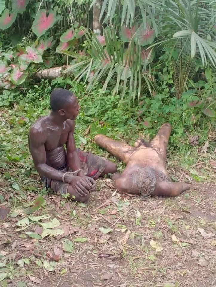 AnnUdoh5's tweet photo. Suspected Serial Killer Akaninyene from Obot Akara Arrested in Creektown Forest Hut.

Akaninyene, an indigene of Obot Akara, was arrested yesterday in Creektown following intelligence that linked him to the disappearance and murder of a recent victim. Security operatives, acting on the tip, tracked him to an isolated hut he built inside a forest in Abanyama, Ukim Ita Community, Creektown.

On arrival, men of the Nigerian Army and a tactical special forces squad, led by community youths and elders, attempted to secure the area. Akaninyene noticed the invasion, ran into the hut to retrieve a weapon, but was quickly surrounded. He tried to escape into the forest but was apprehended by the tactical team.

A search of the compound revealed multiple shallow graves. About 8 graves were uncovered, each containing the remains of up to 5 people buried without their heads. Plantain crops had been planted over the graves to conceal them. The discovery suggests the killings may have been ongoing for some time.

During interrogation, Akaninyene allegedly confessed to killing about 30 people in the community who had gone missing without trace. He was forced to lead operatives to the graves, where bodies without heads were exhumed.

He further confessed that the last killing, which triggered his arrest, occurred on Tuesday, 26th May 2026. He claimed he carried it out with the help of a lady who allegedly held the victim’s head. According to him, the lady was used to lure victims to their deaths, and he described the method they used.

The alarm was first raised after community members heard a struggle and cries from the last victim. Hon. Councilor representing Creektown Ward 1, Apostle Hon. Ene Itam, alongside the Ward Chairman, youths, and elders, reported the case of missing persons to the Executive Chairman of Odukpani LGA, Rt. Hon. Elder Chief Ukpong Etim Asido. He immediately alerted security operatives, who responded swiftly.

The discovery shocked the entire community as families realized the perpetrator lived among them. The Leader of the 8th Legislative Assembly in Odukpani LGA, Hon. Effiom Ekene, and Hon. 
Emmanuel of Adibo Efut Ward also joined efforts to ensure Akaninyene was captured. The Leader of Council commended the Executive Chairman for the quick response of military and police tactical teams, and praised Creektown youths for their vigilance.
Following the arrest, community youths have intensified bush-combing operations to uncover other possible hideouts linked to similar crimes.

Security agencies say Akaninyene’s confessions are expected to help in tracking and arresting others involved in the same criminal network. Residents of Cross River State are urged to remain vigilant and report suspicious activities to authorities immediately.