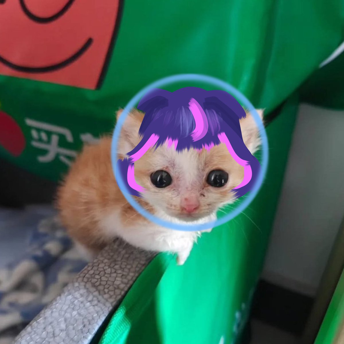 olivia tweet media