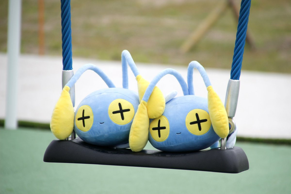 ymk_170's tweet photo. 昨日は珍しく望遠レンズも持っていったけど正解だった
チョンチー可愛すぎる写真 https://t.co/4ggPMUOVEa