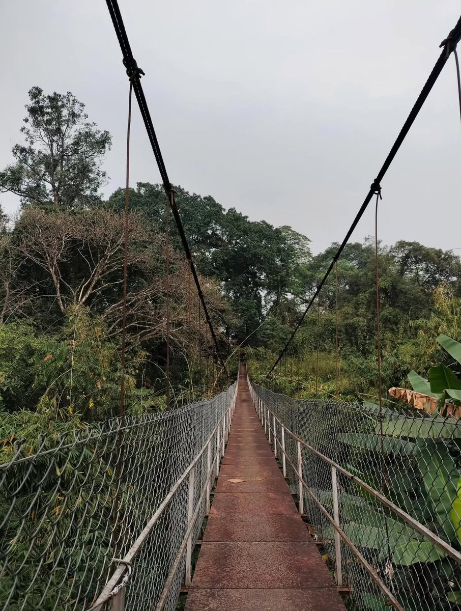 CultureDevi's tweet photo. 280 feet. One of the tallest Buddha statues in the country, standing quietly at Dhamma Hill, Namsai.
Namsai also carries the living culture of the Tai Khamti people, a community with their own language, traditions,and way of life tucked into @ArunachalTsm
Have you been to Namsai? https://t.co/PEOkvjC9i6